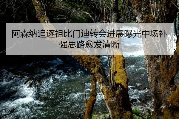 阿森纳追逐祖比门迪转会进展曝光中场补强思路愈发清晰