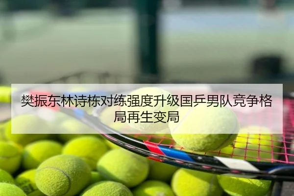 樊振东林诗栋对练强度升级国乒男队竞争格局再生变局